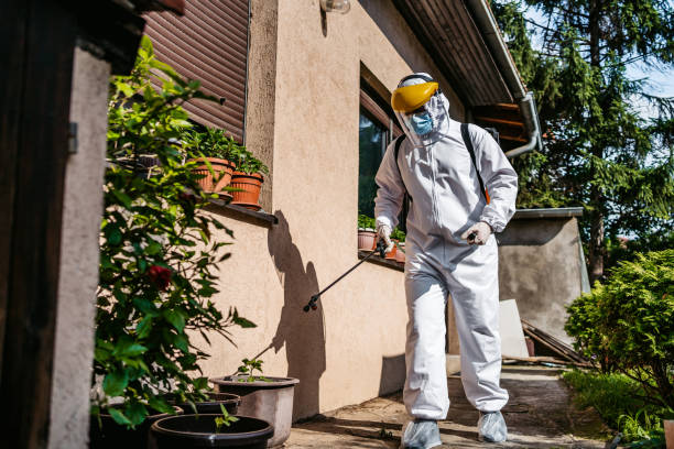 Best Rat Extermination Near Me  in Mercersburg, PA