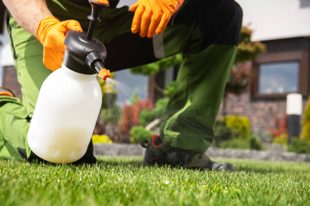 Best Mosquito Control Services  in Mercersburg, PA