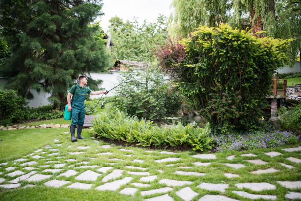 Best Cockroach Control Services  in Mercersburg, PA