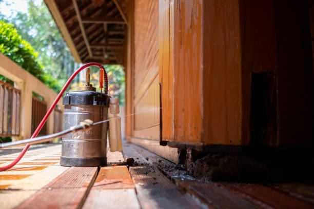 Best Pest Control for Homes  in Mercersburg, PA