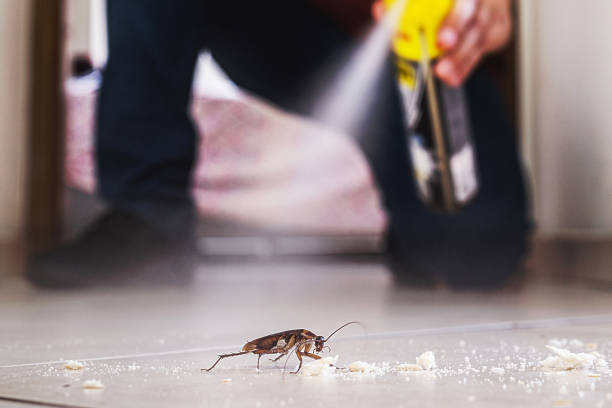 Best Residential Pest Control  in Mercersburg, PA