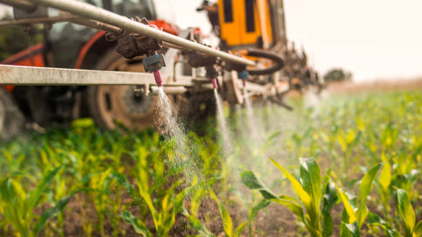Best Commercial Pest Control Services  in Mercersburg, PA